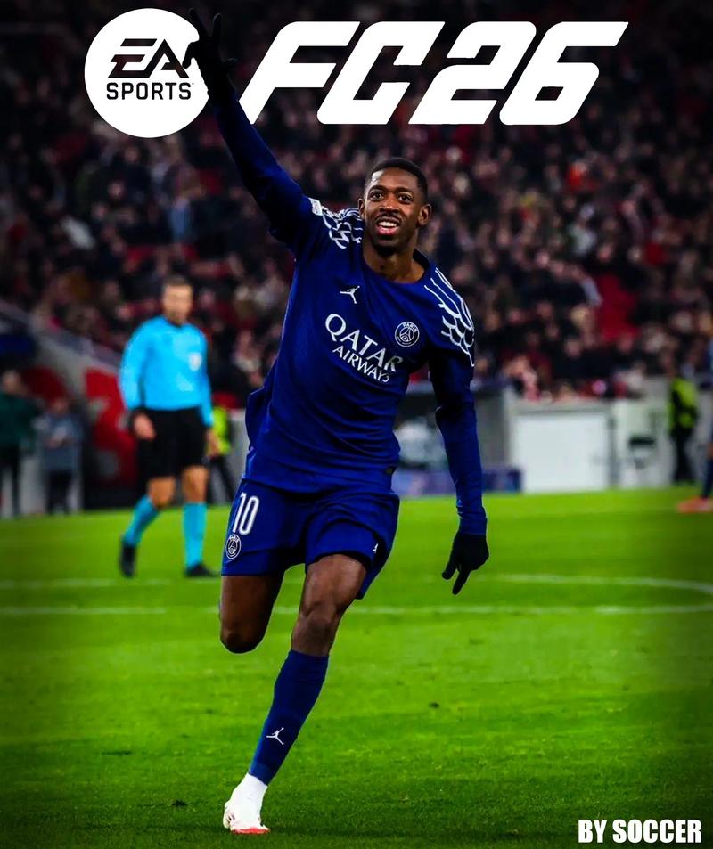 清晰的评分 清晰的评分