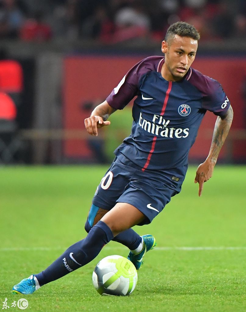 师团队比重 师团队比重